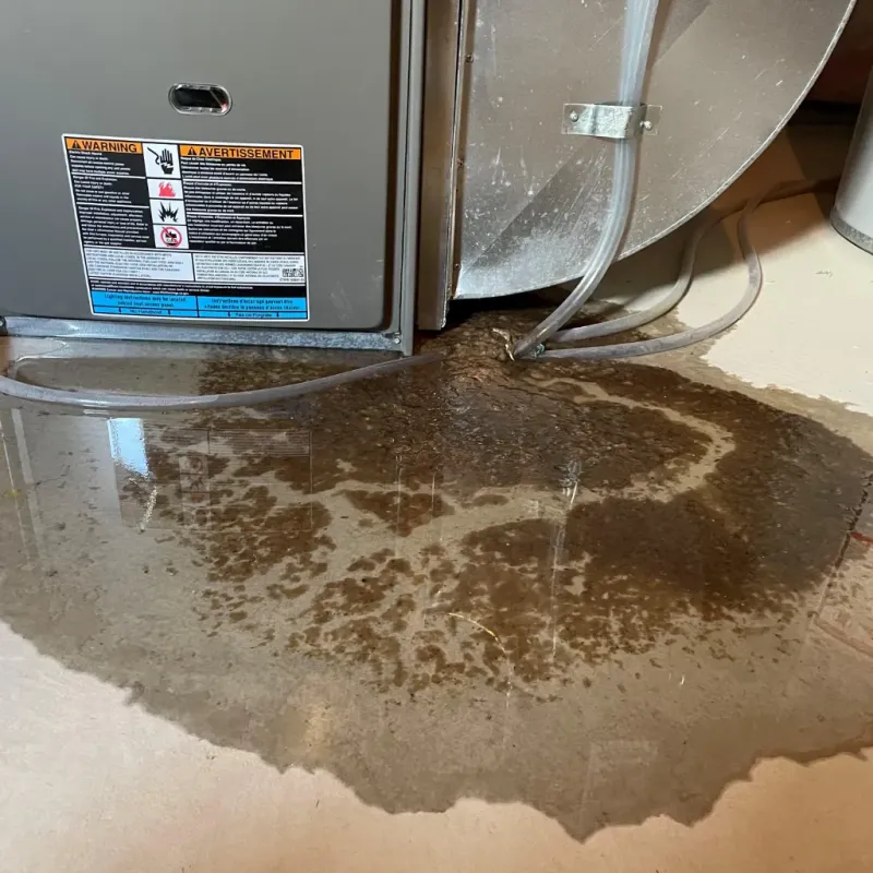 Appliance Leak Cleanup in Druid Hills, GA